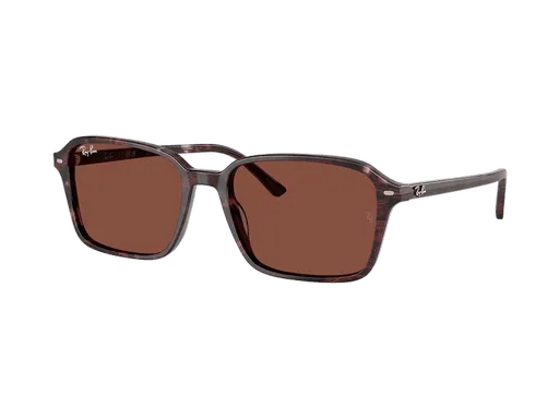 Ray-Ban Raimond RB2231 1416C5