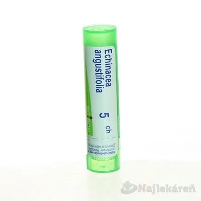 Echinacea Angustifolia gra.1 x 4 g 5CH