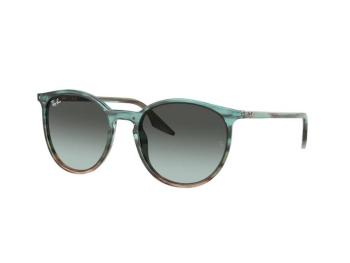 Ray-Ban RB2204 1394GK