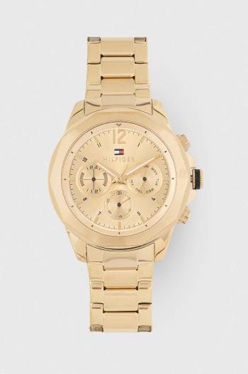 Hodinky Tommy Hilfiger 1792060 pánske, zlatá farba