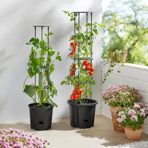 Die moderne Hausfrau Květináč na rajčata s oporou, malý