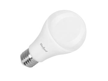 Žiarovka LED E27 12W A60 biela studená REBEL ZAR0565