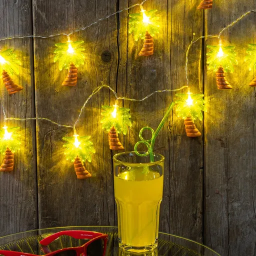 Haushalt international LED Světelný řetěz Palmy