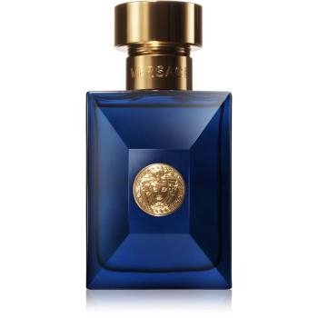 Versace Dylan Blue Pour Homme toaletná voda pre mužov 30 ml