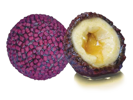 Lk baits boilie nutrigo pellets red halibut - 24 mm 250 ml