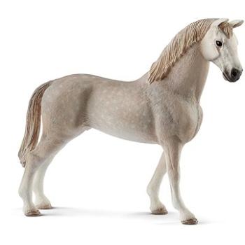 Schleich 13859 - Holštýnský valach (4055744021343)