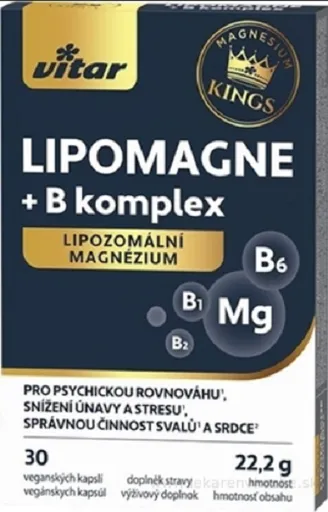VITAR KINGS LIPOMAGNE + B komplex lipozomálne magnézium 30cps