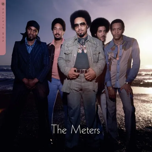 Meters Now 1 LP
