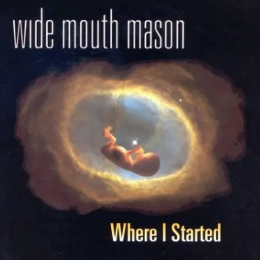 Where I started - Wide Mouth Mason LP