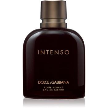 Dolce&Gabbana Pour Homme Intenso parfumovaná voda pre mužov 200 ml