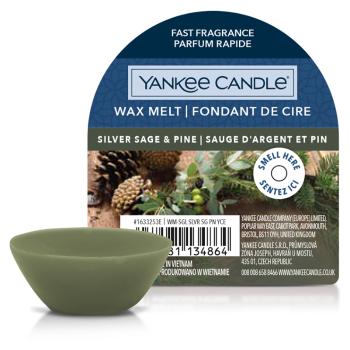 YANKEE CANDLE Vonný vosk Silver Sage & Pine 22 g