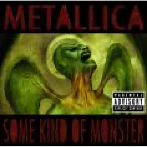 Metallica, SOME KIND OF MONSTER, CD