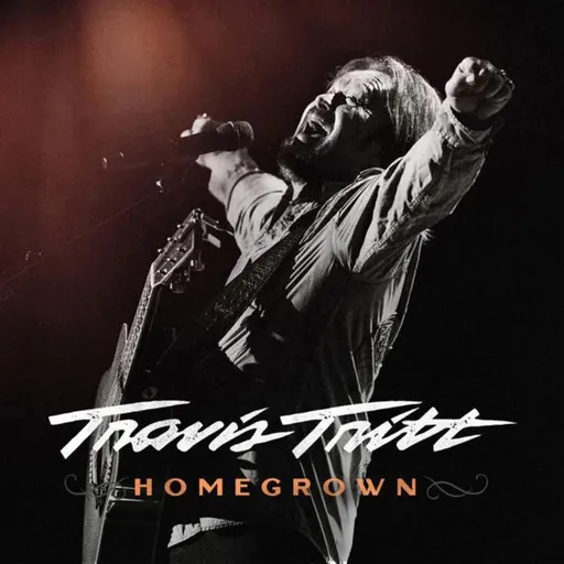Travis Tritt, Tritt Travis Homegrown 2CD, CD