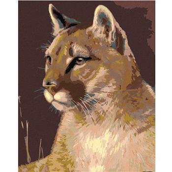 Maľovanie podľa čísel – Puma (HRAmal01207nad)