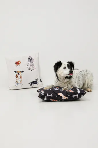 Dekoratívna obliečka na vankúš Medicine 2-pak