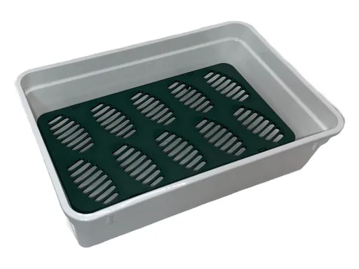 INCUBATION BOX S inkubačný box pre vajcia plazov a jašterov 190x120x50 mm