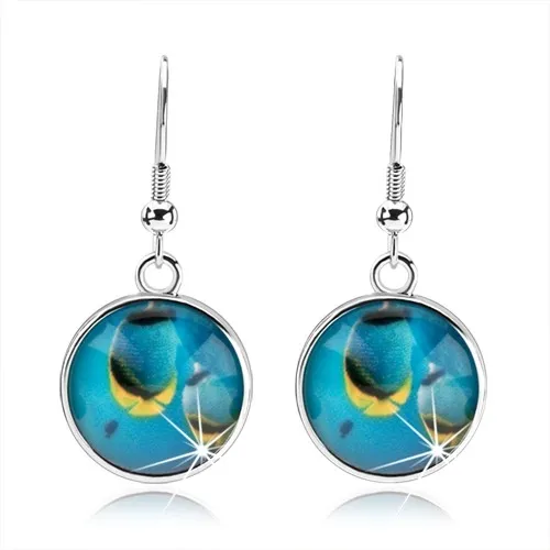 Náušnice kabošon, vypuklá glazúra, modré rybky v mori