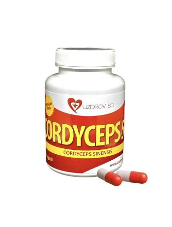 CORDYCEPS sinensis 50% polysacharidov - 90 cps