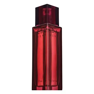 Escada Sentiment pour Homme toaletná voda pre mužov 100 ml