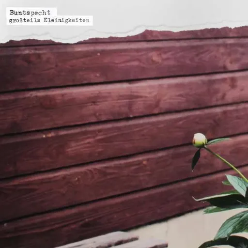 Buntspecht, Buntspecht - Großteils Kleinigkeiten CD, CD