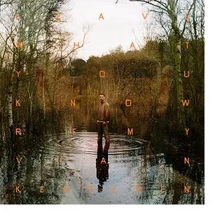 Remy van Kesteren, LEAVE WHAT YOU KNOW, CD