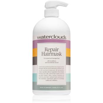 Waterclouds Repair Hairmask regeneračná a hydratačná maska na vlasy 1000 ml