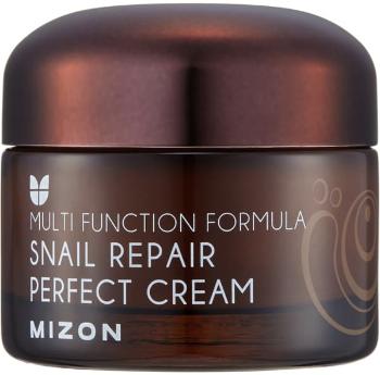 MIZON Snail Repair Perfect Cream, Výživný krém proti vráskam 50 ml