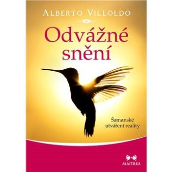 Odvážné snění (978-80-750-0530-4)