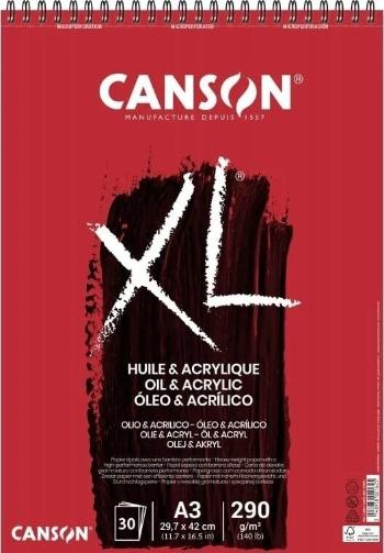 Canson Sp XL Huile Et Acrylique Skicár A3 290 g