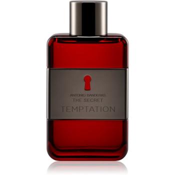 Banderas The Secret Temptation toaletná voda pre mužov 100 ml