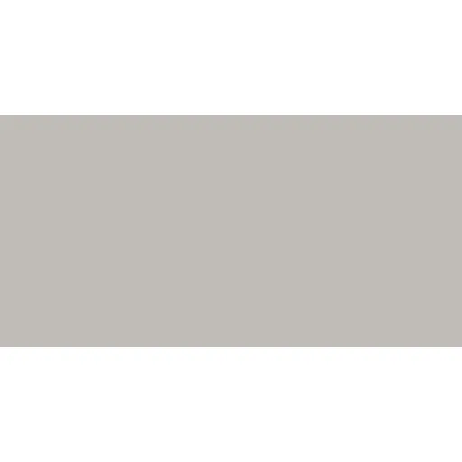 Obklad Rako Concept sivá 30x60 cm mat WAAVK110.1