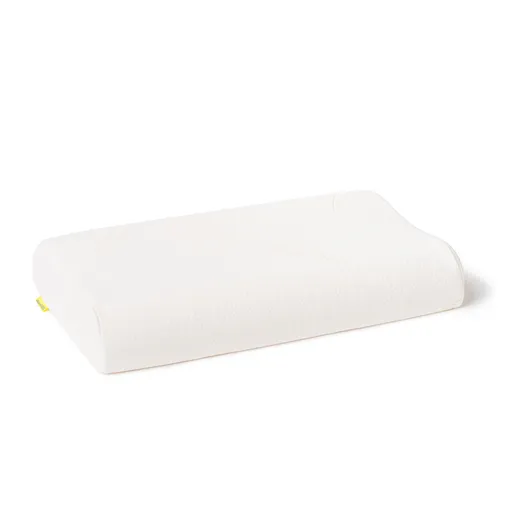 REHABIQ Anatomicko-ortopedický vankúš Aloe Vera 60 x 35 x 12 cm 1 kus