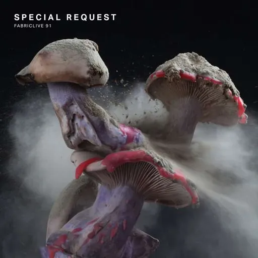 Special Request, FABRICLIVE 91: SPECIAL REQUEST, CD