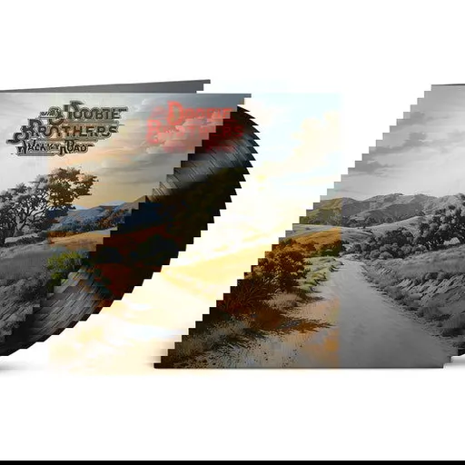 Doobie Brothers - Walk This Road LP