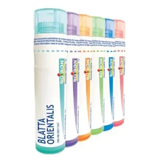 BOIRON Blatta orientalis CH9 4 g