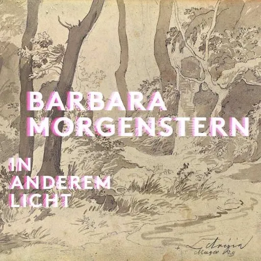 Barbara Morgenstern, MORGENSTERN, BARBARA - IN ANDEREM LICHT CD, CD