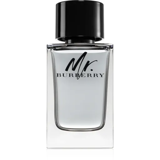 Burberry Mr. Burberry toaletná voda pre mužov 150 ml