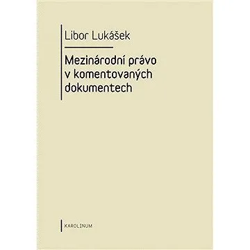Visegrádská skupina a její vývoj v letech 1991-2004 (9788024624389)