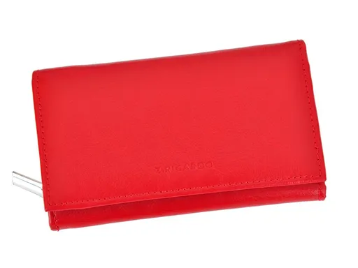 Dámska peňaženka Z.Ricardo 040