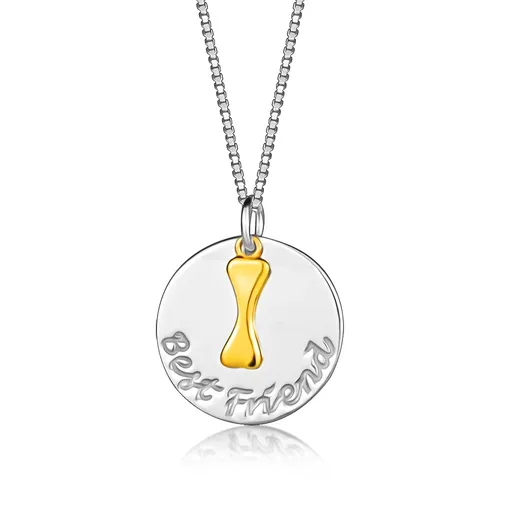 Strieborný náhrdelník 925 - plochý krúžok, nápis "Best Friends ", psia kostička v zlatej farbe