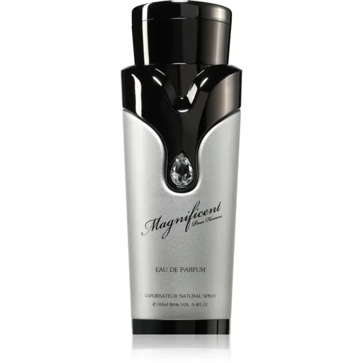 Armaf Magnificent Pour Homme parfumovaná voda pre mužov 100 ml