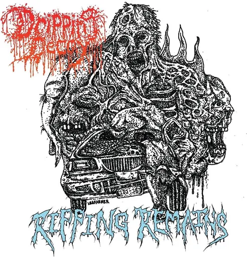DRIPPING DECAY - RIPPING REMAINS LP