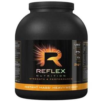 Reflex Instant Mass Heavy Weight 2000 g (SPTref034nad)