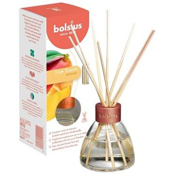 BOLSIUS True Scents Difuzér Mango 45 ml (8717847151711)