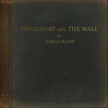 RADIN, JOSHUA - THE GHOST AND THE WALL, Vinyl