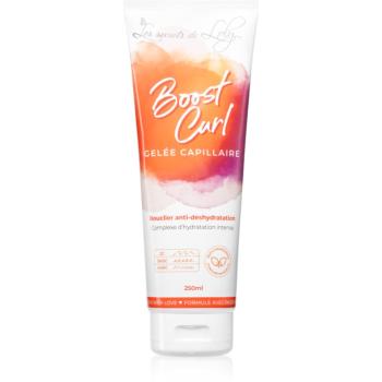 Les Secrets De Loly Boost Curl stylingový gél s hydratačným účinkom 250 ml