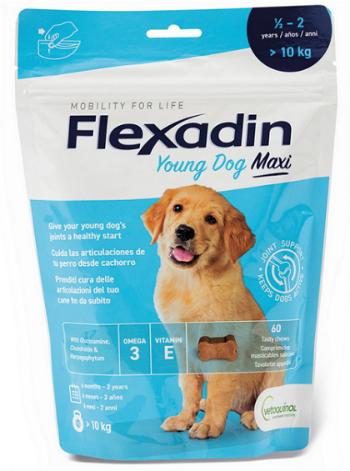 Flexadin Young Dog Maxi žuvacie tablety na kĺby pre psy 60tbl