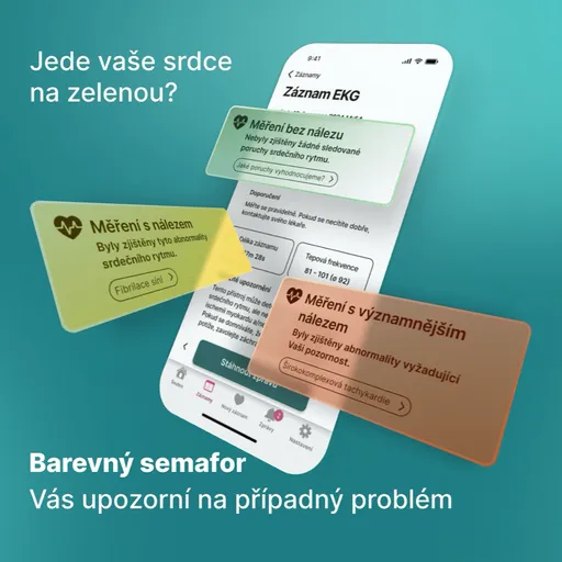 KARDI AI 3-mesačné EKG monitorovanie srdca XXXL