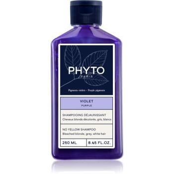 Phyto Purple No Yellow Shampoo tónovací šampón pre blond a melírované vlasy 250 ml