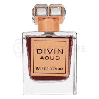 French Avenue Divin Aoud parfémovaná voda unisex 100 ml - 30 dní na vrátenie tovaru, Garancia originality